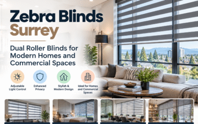 Zebra Blinds Surrey: Dual Roller Blinds for Modern Homes and Commercial Spaces